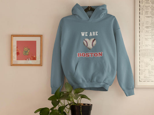 Boston Baseball Hoodie, Red Sox Hoodie, Comfort Colors Vintage Hoodie, Fenway Park Apparel, Gift for Him or Her, Classic Hoodie, MLB Fan